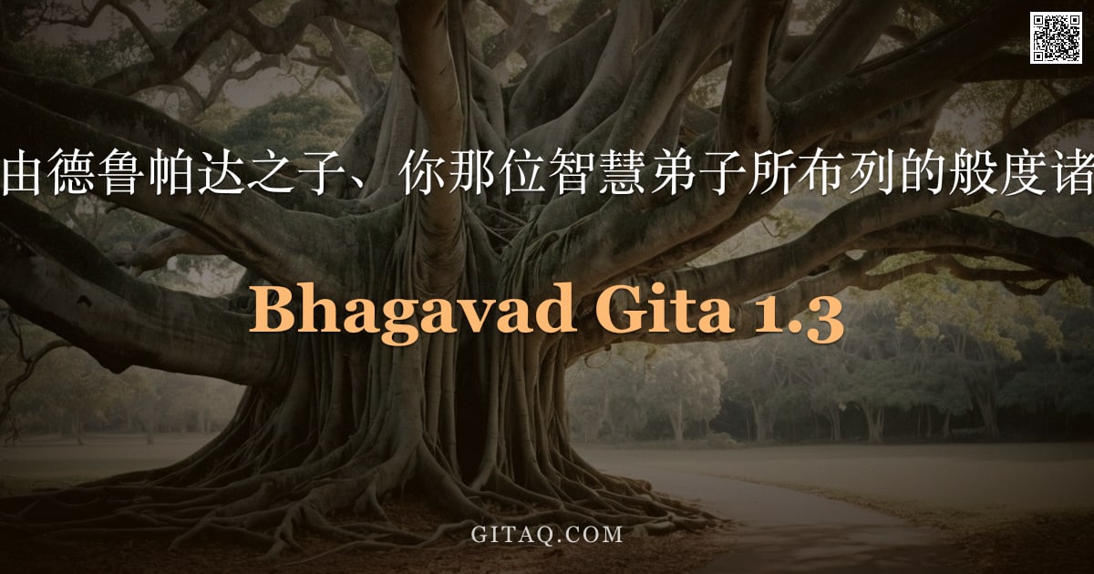 薄伽梵歌 1.3 — "看吧，尊者！这由德鲁帕达之子、你那位智慧弟子所布列的般度诸子之庞大军阵。"