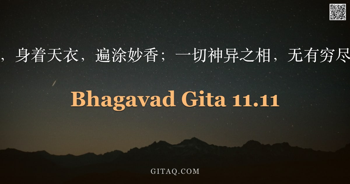 薄伽梵歌 11.11 — "佩戴神圣花环，身着天衣，遍涂妙香；一切神异之相，无有穷尽，四面皆面。"