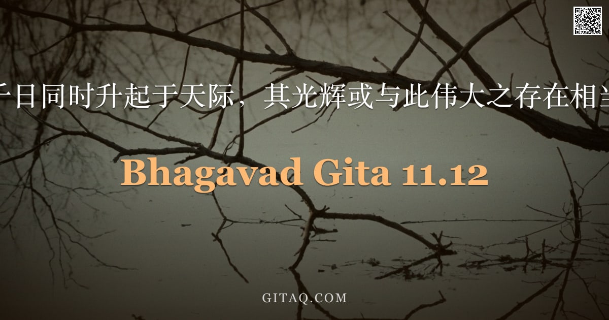 薄伽梵歌 11.12 — "若千日同时升起于天际，其光辉或与此伟大之存在相当。"