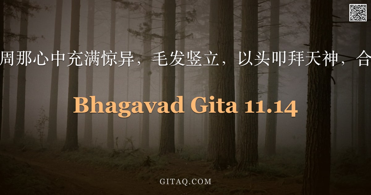 薄伽梵歌 11.14 — "于是，阿周那心中充满惊异，毛发竖立，以头叩拜天神，合掌而语。"