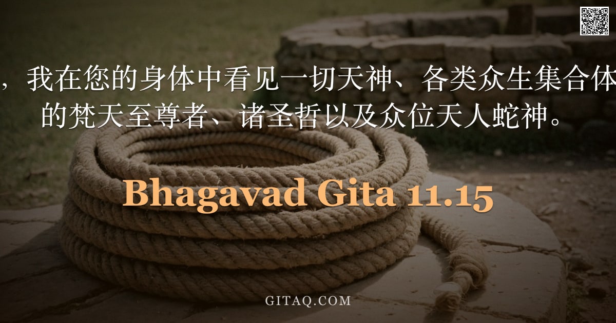 薄伽梵歌 11.15 — "阿周那说：主啊，我在您的身体中看见一切天神、各类众生集合体、坐在莲花座上的梵天至尊者、诸圣哲以及众位天人蛇神。"