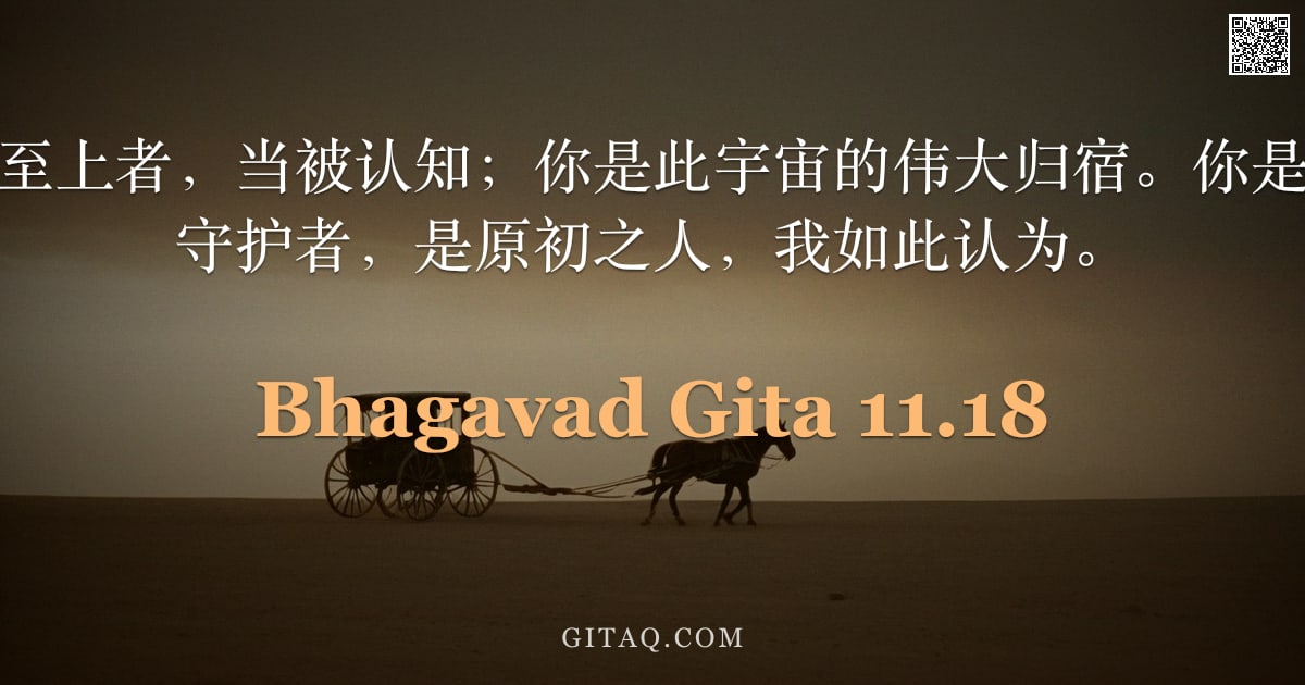 薄伽梵歌 11.18 — "你是不可毁灭的至上者，当被认知；你是此宇宙的伟大归宿。你是永恒法度的不朽守护者，是原初之人，我如此认为。"