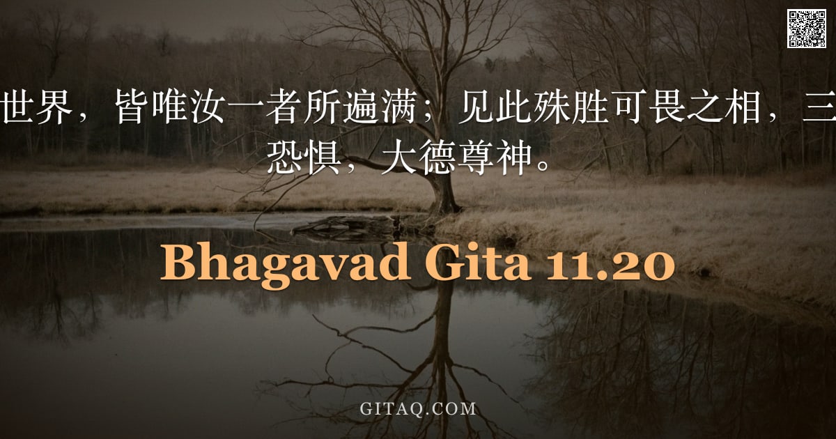 薄伽梵歌 11.20 — "天地之间及十方世界，皆唯汝一者所遍满；见此殊胜可畏之相，三界众生无不战栗恐惧，大德尊神。"