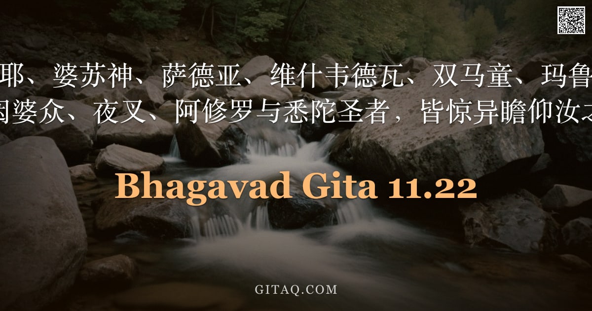 薄伽梵歌 11.22 — "诸罗摩、阿底提耶、婆苏神、萨德亚、维什韦德瓦、双马童、玛鲁特，以及我等祖先、乾闼婆众、夜叉、阿修罗与悉陀圣者，皆惊异瞻仰汝之威容。"