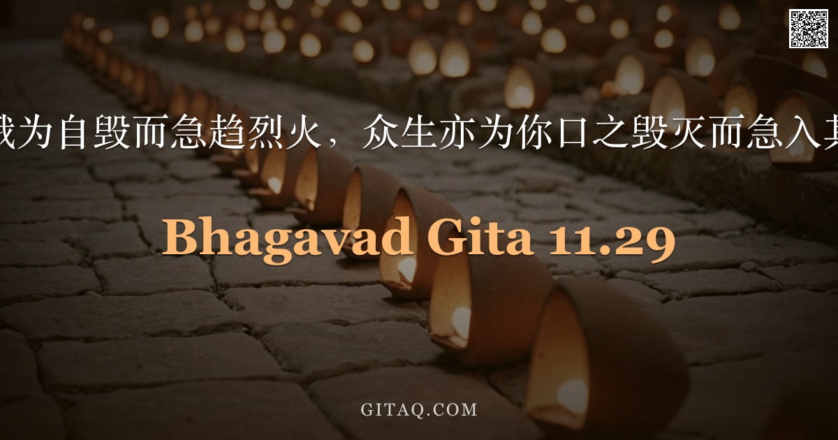 薄伽梵歌 11.29 — "如飞蛾为自毁而急趋烈火，众生亦为你口之毁灭而急入其中。"