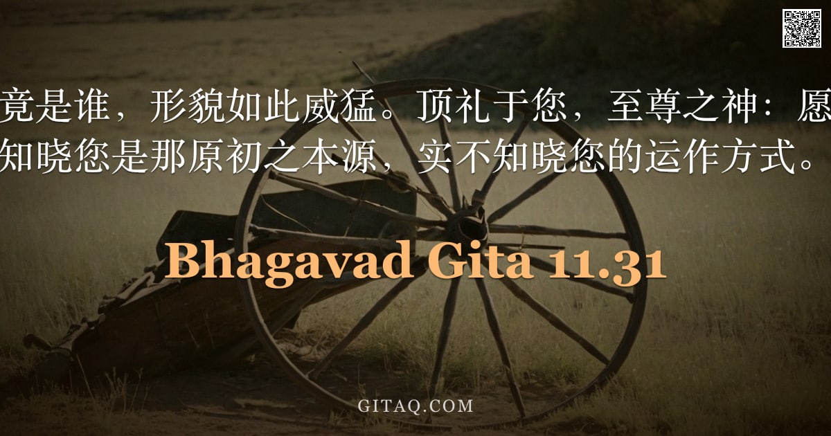 薄伽梵歌 11.31 — "请告诉我，你究竟是谁，形貌如此威猛。顶礼于您，至尊之神：愿垂慈悯。我渴望知晓您是那原初之本源，实不知晓您的运作方式。"