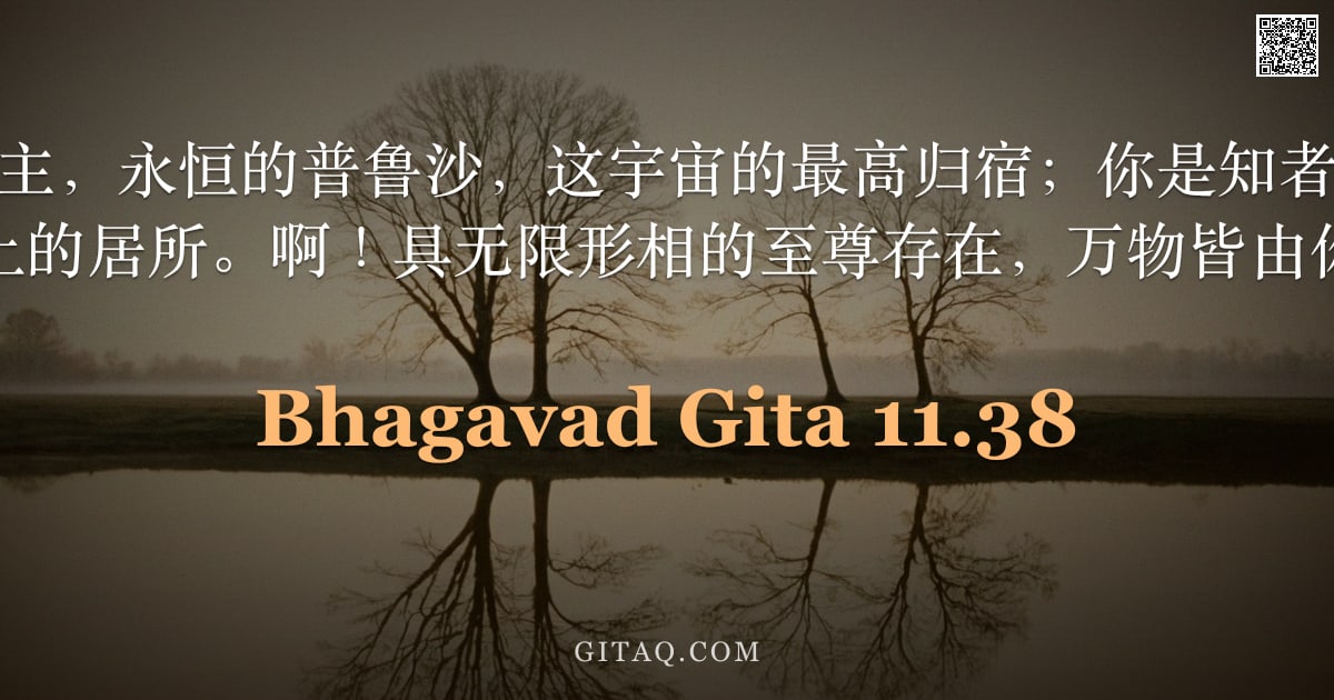 薄伽梵歌 11.38 — "你是最初的造物主，永恒的普鲁沙，这宇宙的最高归宿；你是知者、所知的对象以及至高无上的居所。啊！具无限形相的至尊存在，万物皆由你而遍满。"