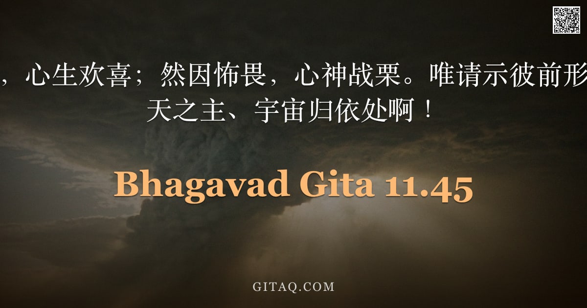 薄伽梵歌 11.45 — "我见所未见之相，心生欢喜；然因怖畏，心神战栗。唯请示彼前形，愿垂慈悯，诸天之主、宇宙归依处啊！"
