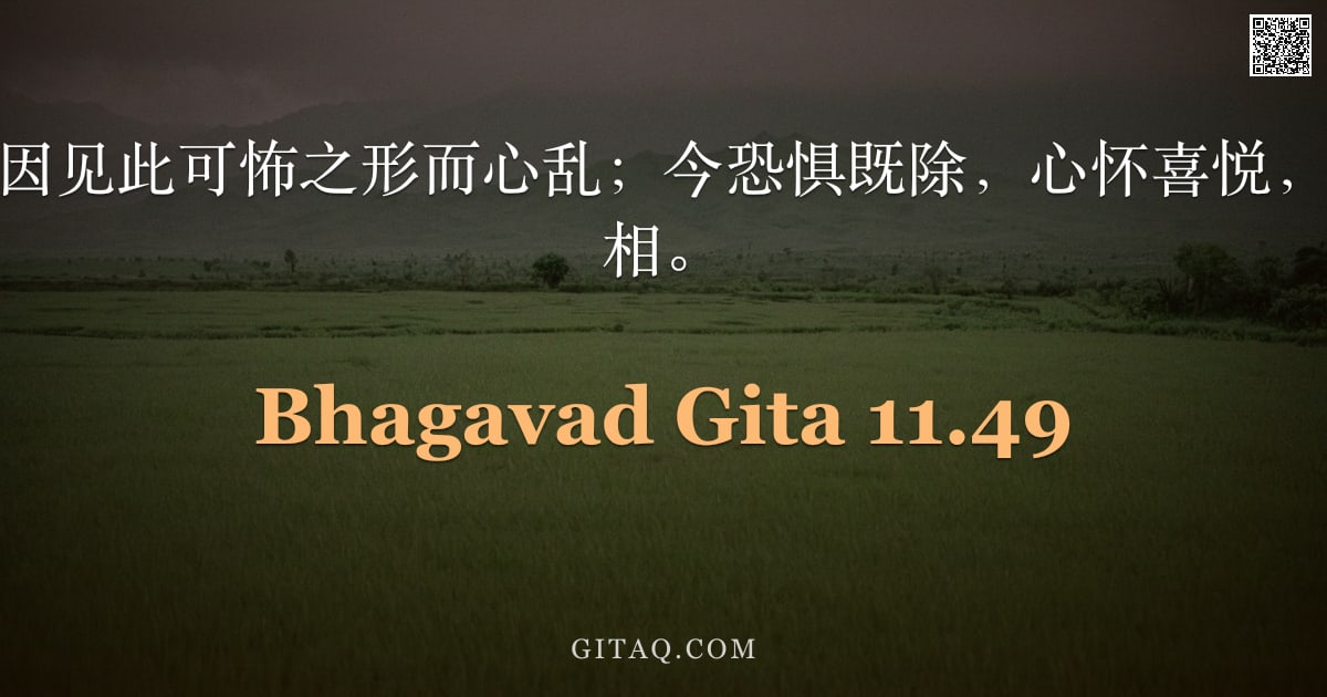 薄伽梵歌 11.49 — "汝勿惊惧，亦莫因见此可怖之形而心乱；今恐惧既除，心怀喜悦，再观我此昔有之相。"