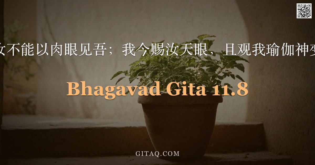 薄伽梵歌 11.8 — "然汝不能以肉眼见吾；我今赐汝天眼，且观我瑜伽神变。"