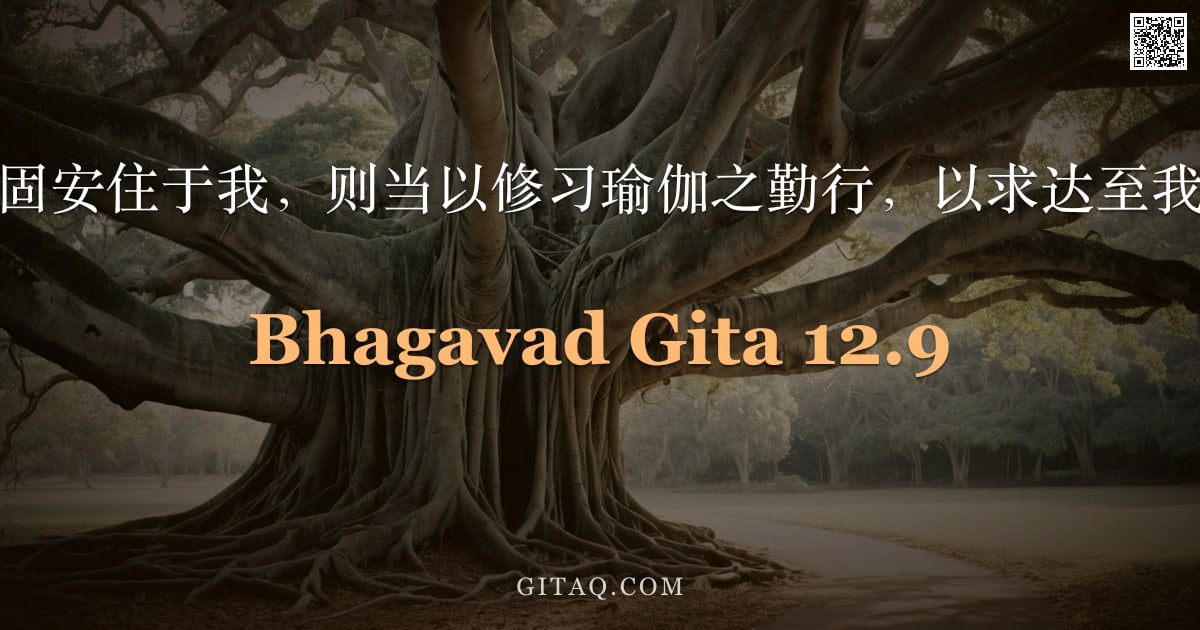 薄伽梵歌 12.9 — "若你心不能稳固安住于我，则当以修习瑜伽之勤行，以求达至我处，阿周那。"