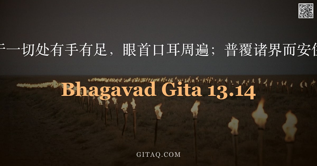 薄伽梵歌 13.14 — "彼于一切处有手有足，眼首口耳周遍；普覆诸界而安住。"