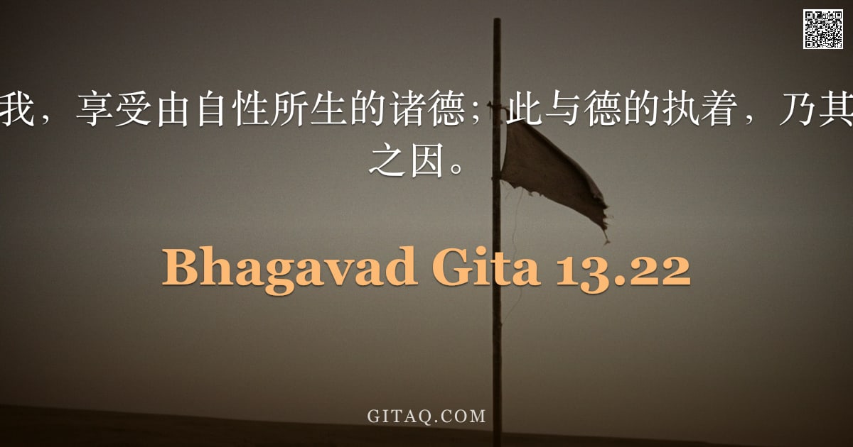 薄伽梵歌 13.22 — "居于自然中的神我，享受由自性所生的诸德；此与德的执着，乃其于善恶胎中受生之因。"