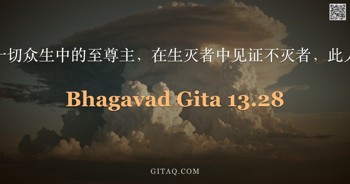 薄伽梵歌 13.28 — "见那遍存于一切众生中的至尊主，在生灭者中见证不灭者，此人方为真见。"