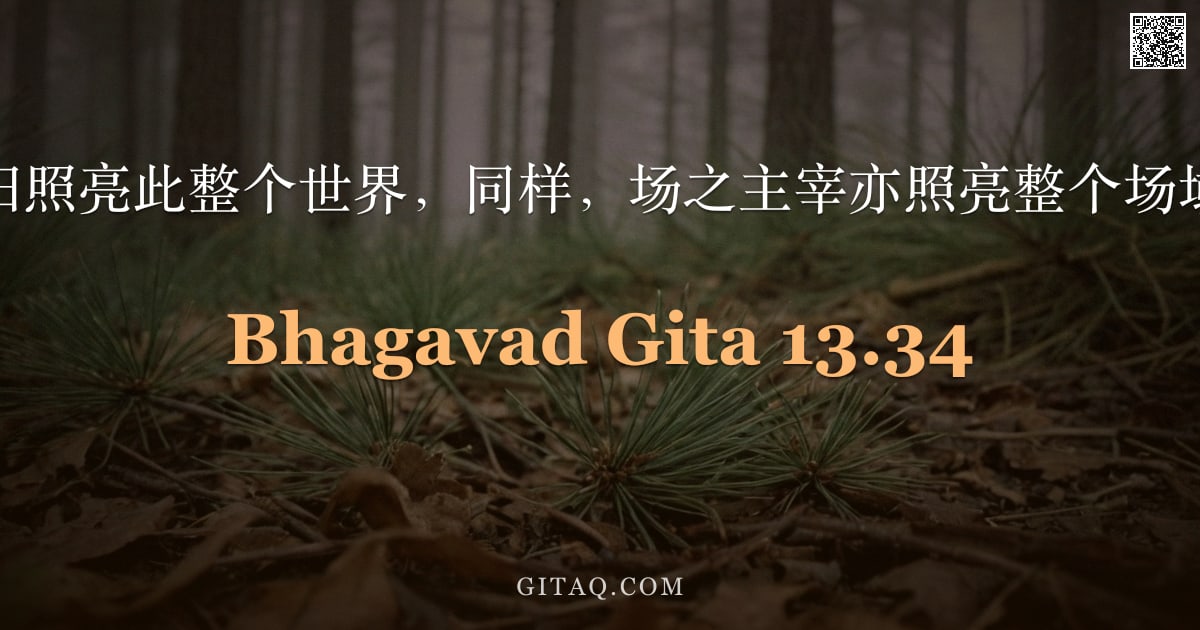 薄伽梵歌 13.34 — "犹如独一太阳照亮此整个世界，同样，场之主宰亦照亮整个场域，阿周那。"