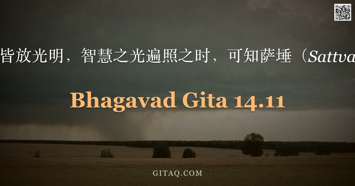 薄伽梵歌 14.11 — "当此身诸门皆放光明，智慧之光遍照之时，可知萨埵（Sattva）已增盛。"