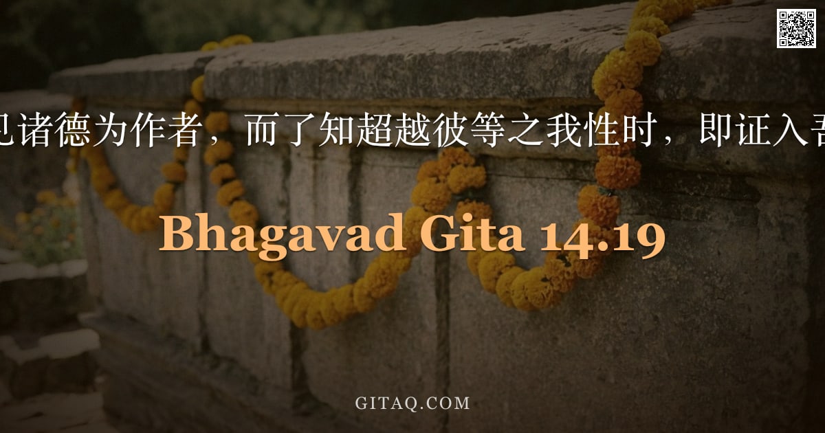 薄伽梵歌 14.19 — "当见者不见诸德为作者，而了知超越彼等之我性时，即证入吾之本然。"