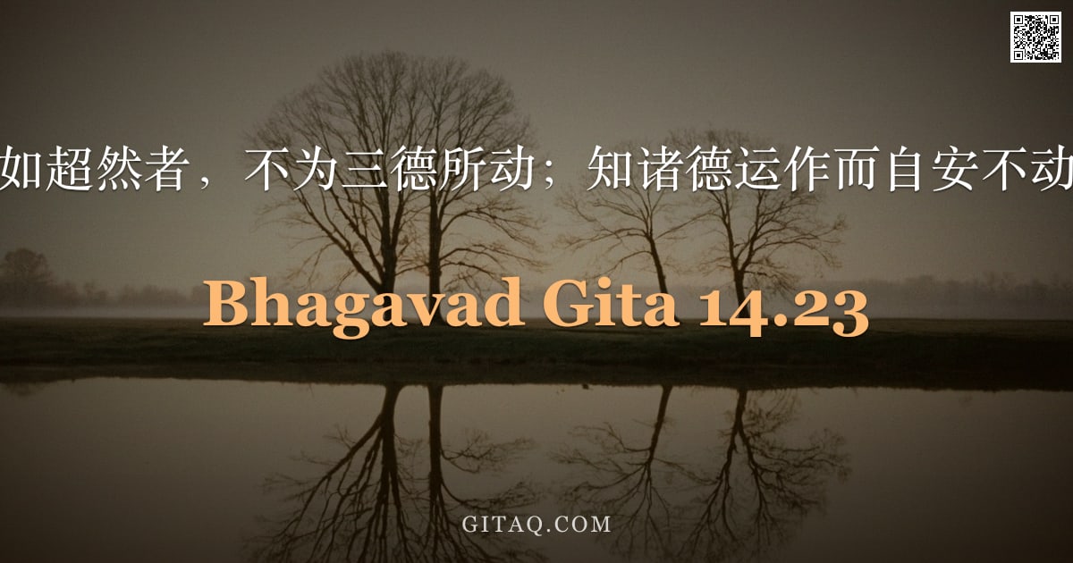 薄伽梵歌 14.23 — "彼如超然者，不为三德所动；知诸德运作而自安不动。"