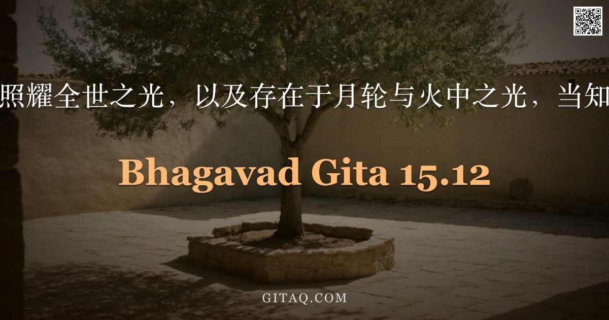 薄伽梵歌 15.12 — "那居于日轮中而照耀全世之光，以及存在于月轮与火中之光，当知此皆为我所有。"