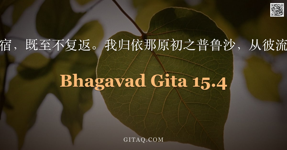 薄伽梵歌 15.4 — "此后当寻求彼归宿，既至不复返。我归依那原初之普鲁沙，从彼流出古昔之业用。"