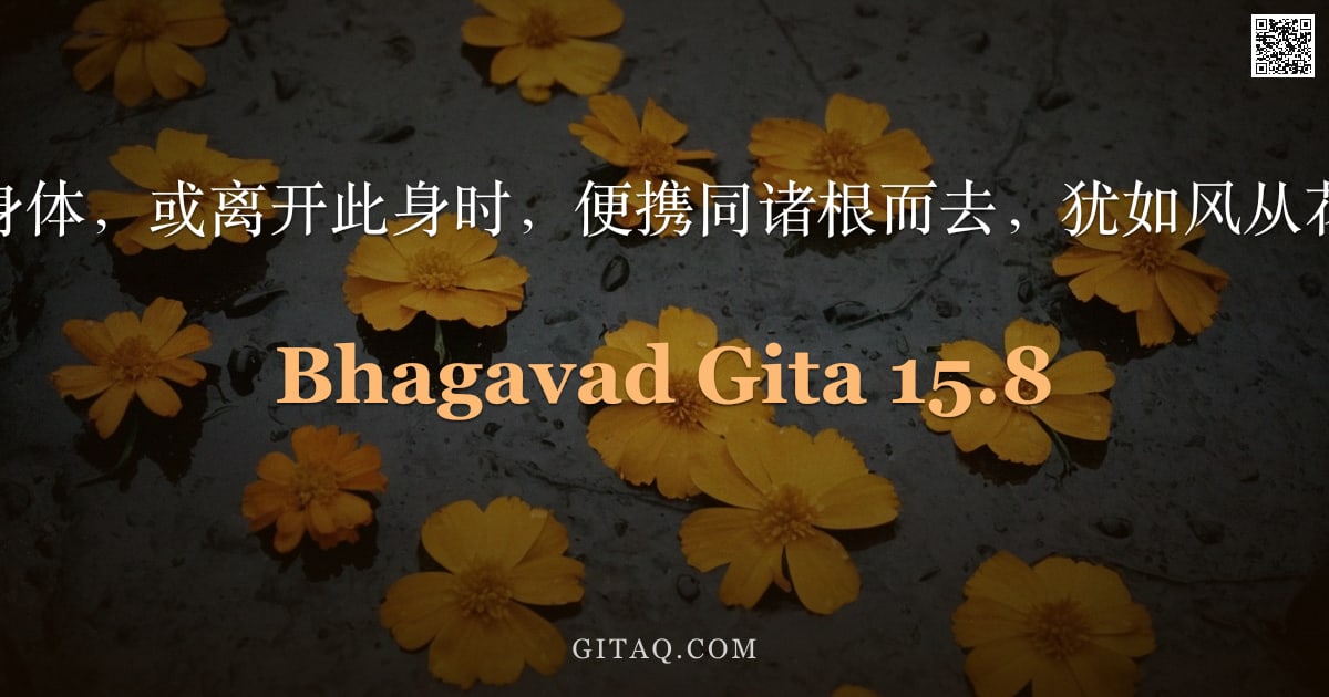 薄伽梵歌 15.8 — "当主宰者获得身体，或离开此身时，便携同诸根而去，犹如风从花处带走香气。"