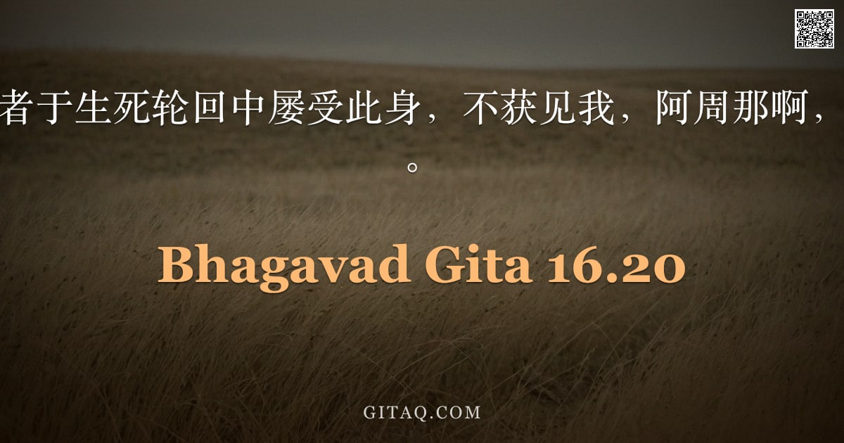 薄伽梵歌 16.20 — "堕入魔胎，愚痴者于生死轮回中屡受此身，不获见我，阿周那啊，终坠至更下之境。"