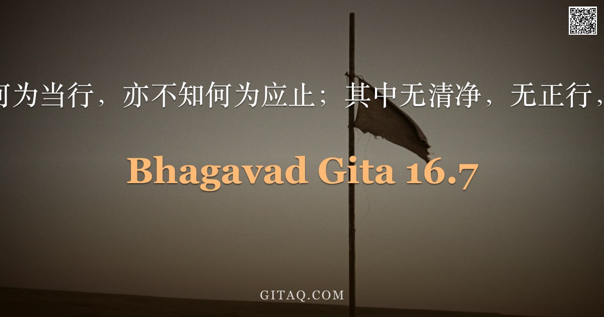 薄伽梵歌 16.7 — "阿修罗不知何为当行，亦不知何为应止；其中无清净，无正行，亦无真理。"