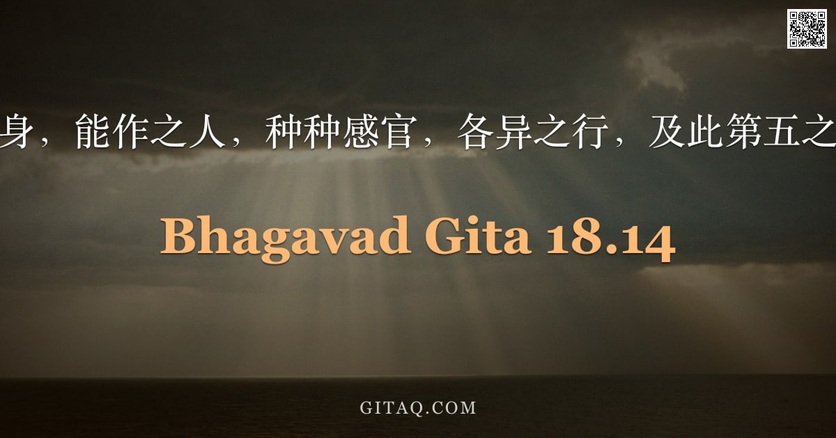 薄伽梵歌 18.14 — "所依之身，能作之人，种种感官，各异之行，及此第五之神祇。"