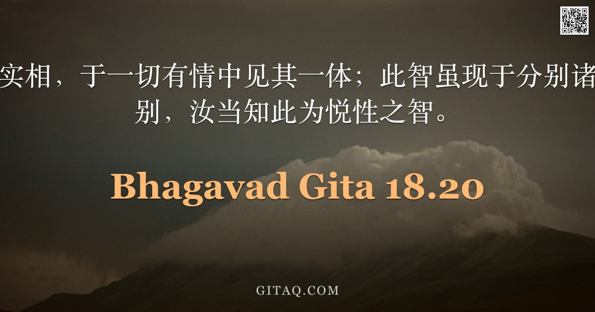薄伽梵歌 18.20 — "彼以不二之永恒实相，于一切有情中见其一体；此智虽现于分别诸法之中而体性无别，汝当知此为悦性之智。"