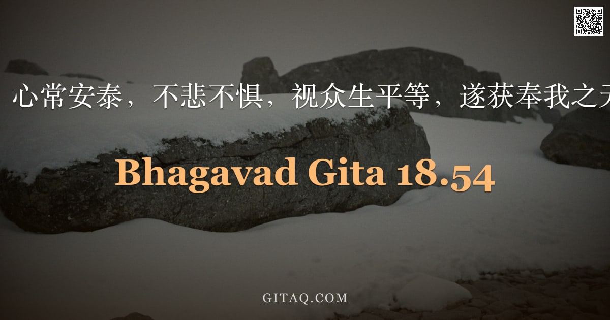 薄伽梵歌 18.54 — "证得梵性，心常安泰，不悲不惧，视众生平等，遂获奉我之无上虔信。"