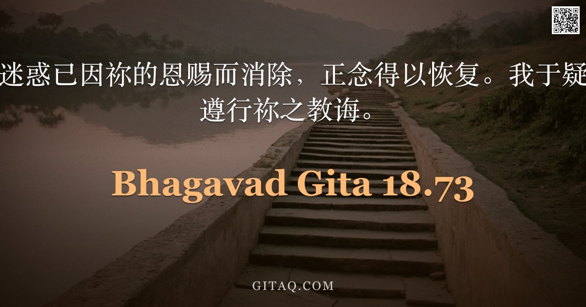 薄伽梵歌 18.73 — "阿周那说：我的迷惑已因祢的恩赐而消除，正念得以恢复。我于疑惑中得立，定当遵行祢之教诲。"