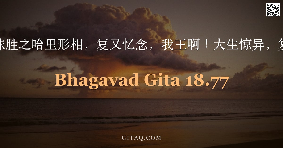 薄伽梵歌 18.77 — "忆念此最殊胜之哈里形相，复又忆念，我王啊！大生惊异，复复欢喜。"