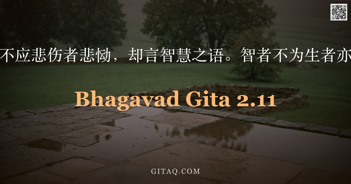 薄伽梵歌 2.11 — "至尊主说：你为不应悲伤者悲恸，却言智慧之语。智者不为生者亦不为死者哀伤。"