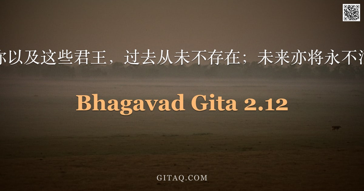 薄伽梵歌 2.12 — "我、你以及这些君王，过去从未不存在；未来亦将永不消亡。"