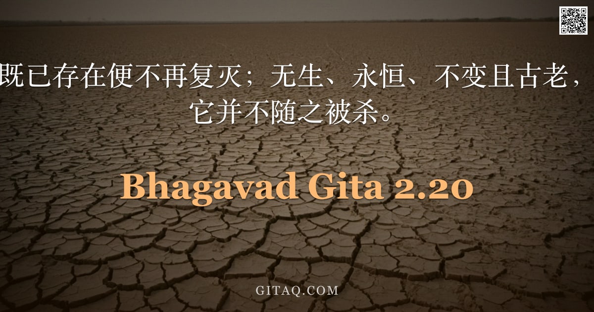 薄伽梵歌 2.20 — "它不生亦不死，既已存在便不再复灭；无生、永恒、不变且古老，当身体被杀时，它并不随之被杀。"