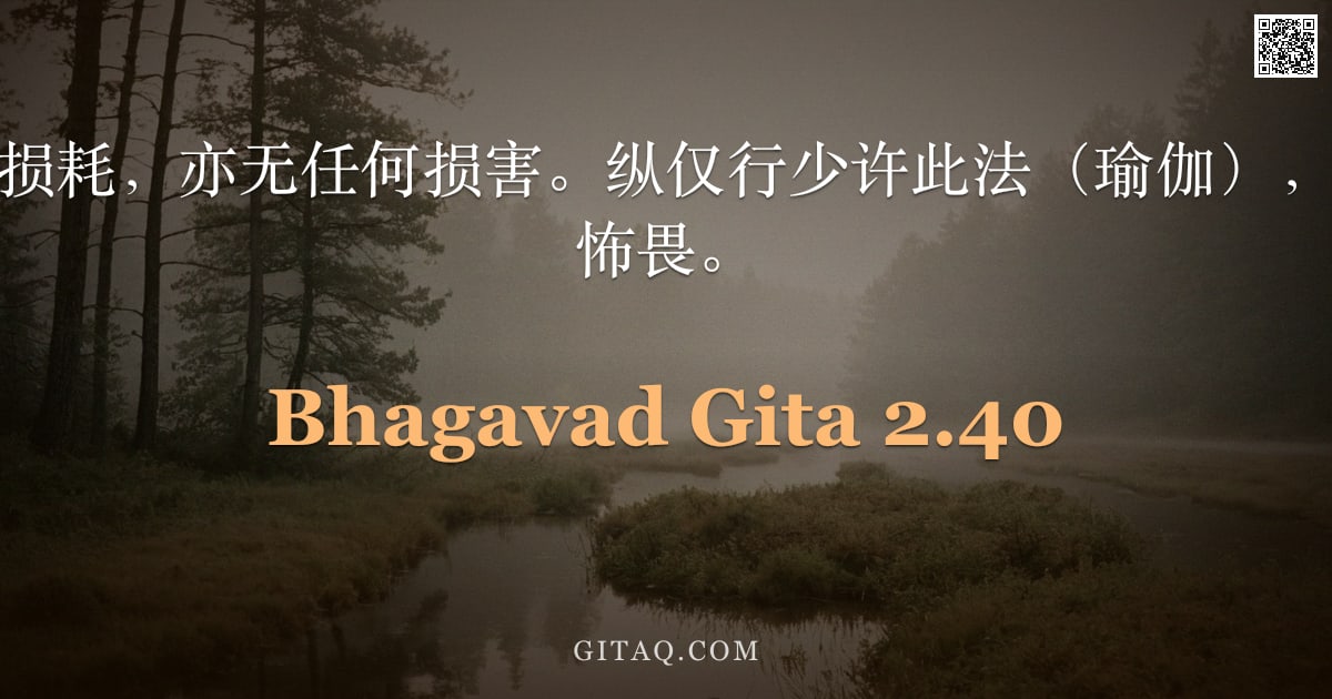 薄伽梵歌 2.40 — "此中无有努力之损耗，亦无任何损害。纵仅行少许此法（瑜伽），亦能使人免于大怖畏。"