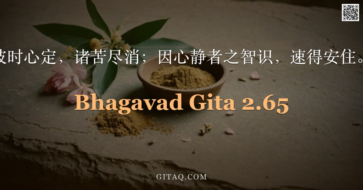 薄伽梵歌 2.65 — "彼时心定，诸苦尽消；因心静者之智识，速得安住。"