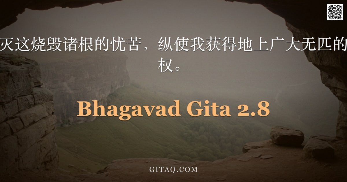 薄伽梵歌 2.8 — "我未见有此能除灭这烧毁诸根的忧苦，纵使我获得地上广大无匹的王国或诸天之主权。"