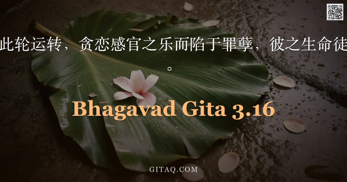 薄伽梵歌 3.16 — "若有人于此不随此轮运转，贪恋感官之乐而陷于罪孽，彼之生命徒劳无益，阿周那。"