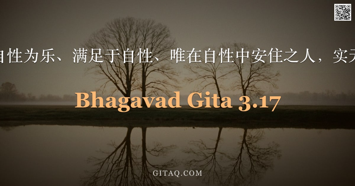 薄伽梵歌 3.17 — "然而，那以自性为乐、满足于自性、唯在自性中安住之人，实无应行之事。"