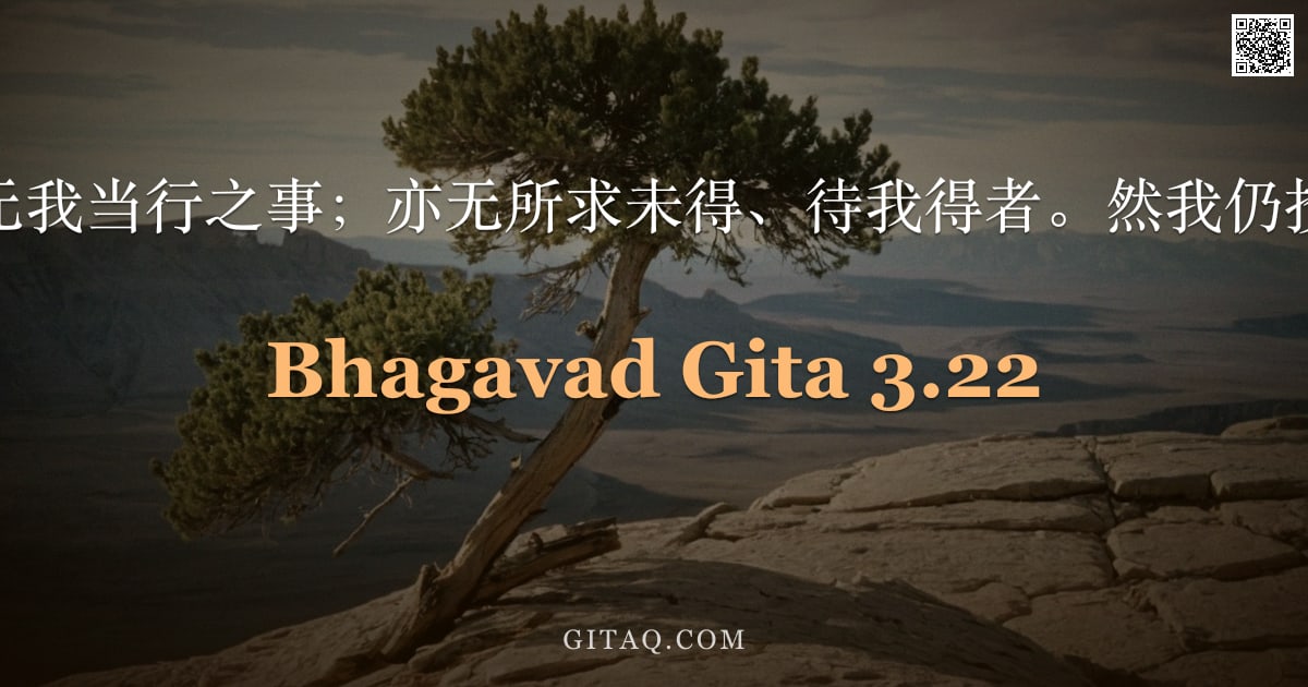 薄伽梵歌 3.22 — "三界之中，无我当行之事；亦无所求未得、待我得者。然我仍投身于业行。"
