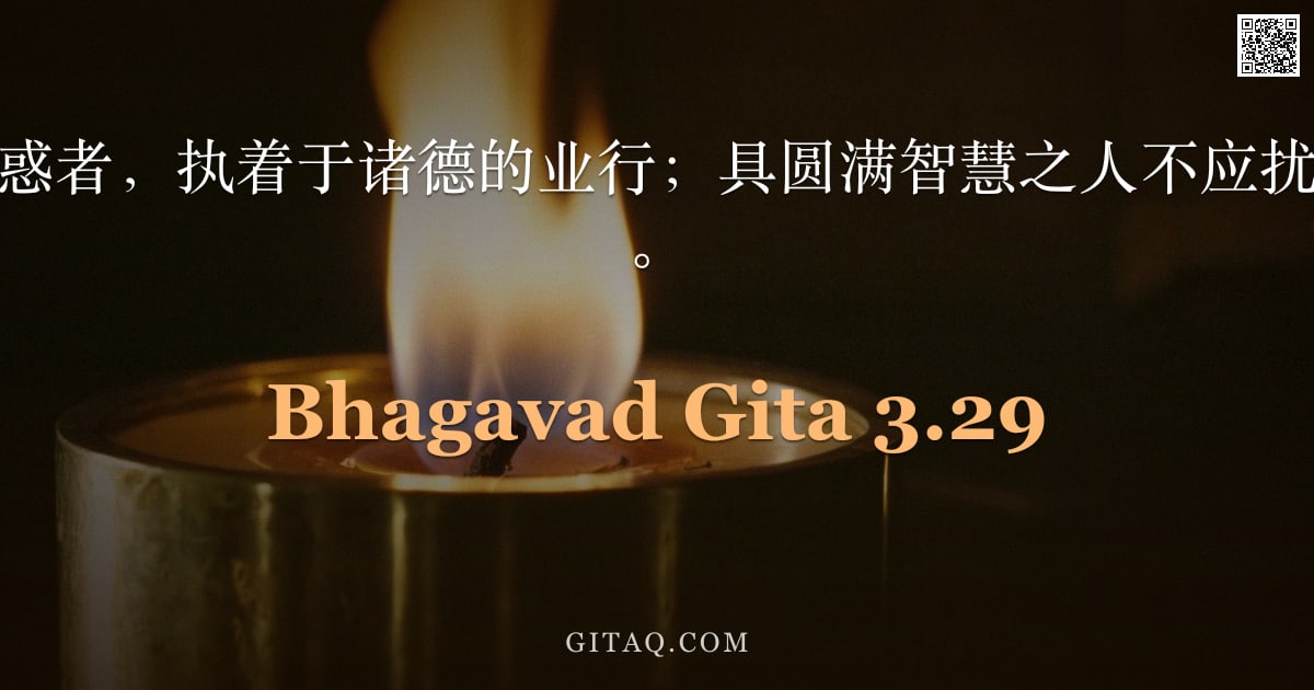 薄伽梵歌 3.29 — "被自然三德所迷惑者，执着于诸德的业行；具圆满智慧之人不应扰乱那愚昧无知者。"