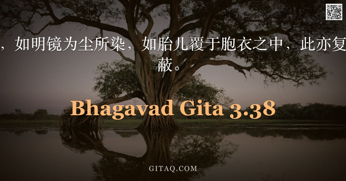 薄伽梵歌 3.38 — "如烈火被烟所蔽，如明镜为尘所染，如胎儿覆于胞衣之中，此亦复如是，为彼所遮蔽。"