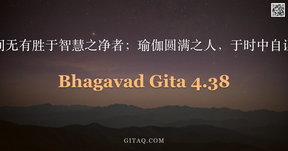 薄伽梵歌 4.38 — "诚哉，世间无有胜于智慧之净者；瑜伽圆满之人，于时中自证得此智。"
