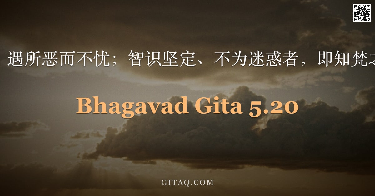 薄伽梵歌 5.20 — "得所爱而不喜，遇所恶而不忧；智识坚定、不为迷惑者，即知梵之梵住于梵中。"