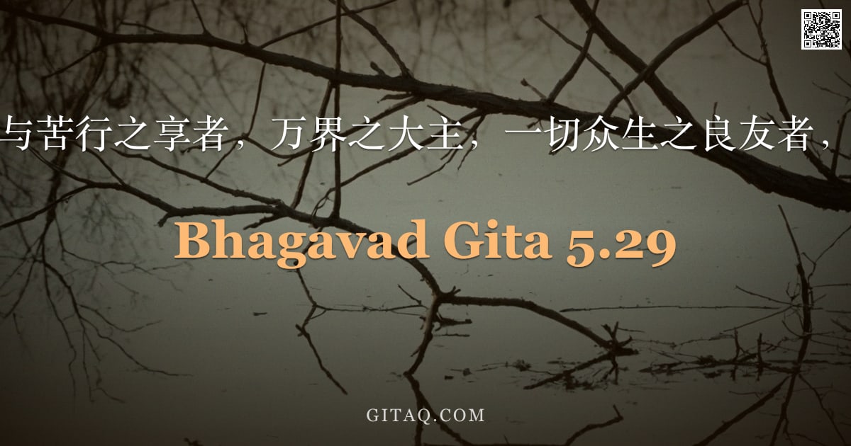 薄伽梵歌 5.29 — "知我为祭供与苦行之享者，万界之大主，一切众生之良友者，即得安宁。"
