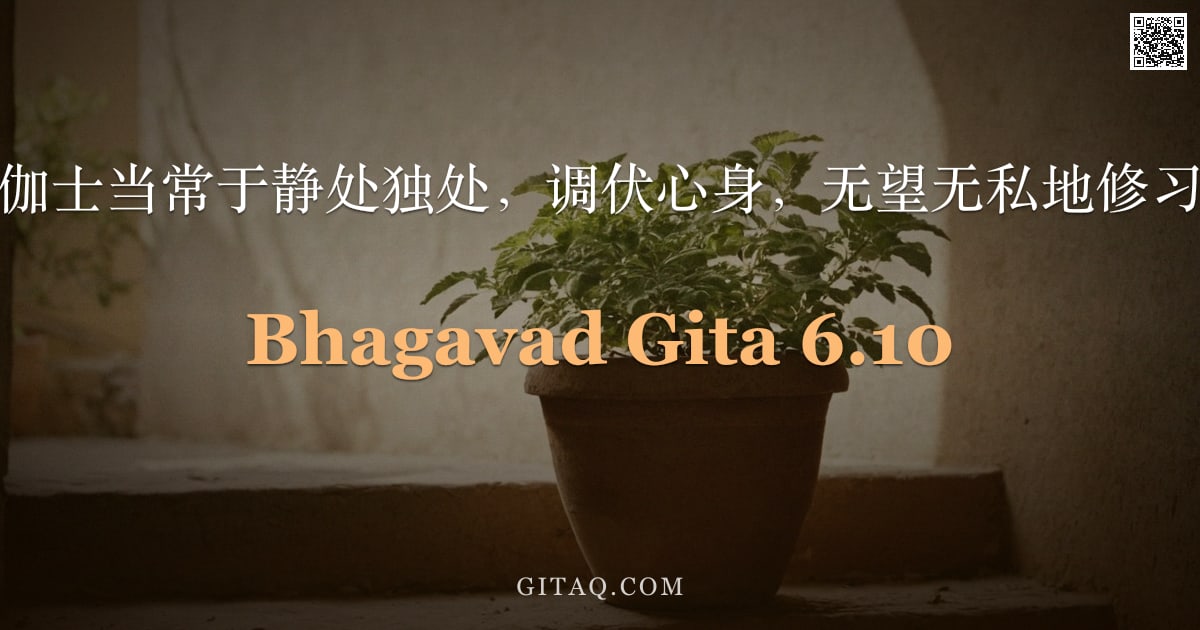 薄伽梵歌 6.10 — "瑜伽士当常于静处独处，调伏心身，无望无私地修习。"