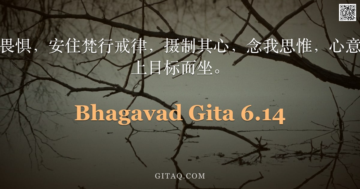 薄伽梵歌 6.14 — "心常寂静，无所畏惧，安住梵行戒律，摄制其心，念我思惟，心意调柔，以我为至上目标而坐。"