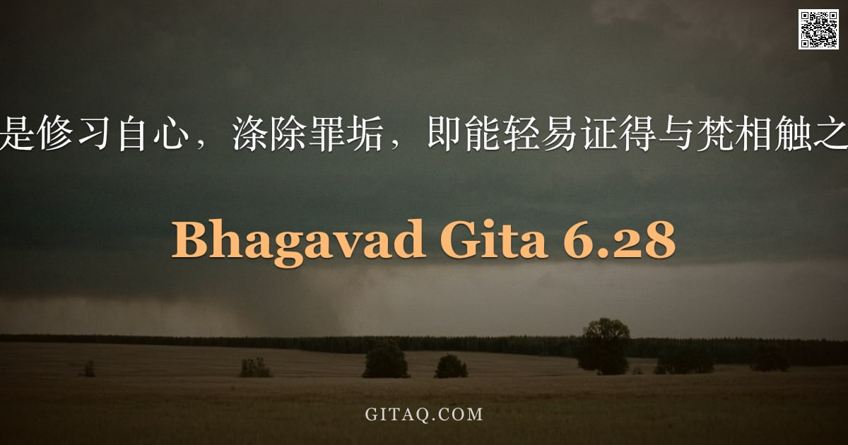 薄伽梵歌 6.28 — "瑜伽士常如是修习自心，涤除罪垢，即能轻易证得与梵相触之无上极乐。"