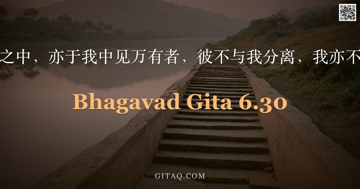 薄伽梵歌 6.30 — "见我在万有之中，亦于我中见万有者，彼不与我分离，我亦不与彼分离。"